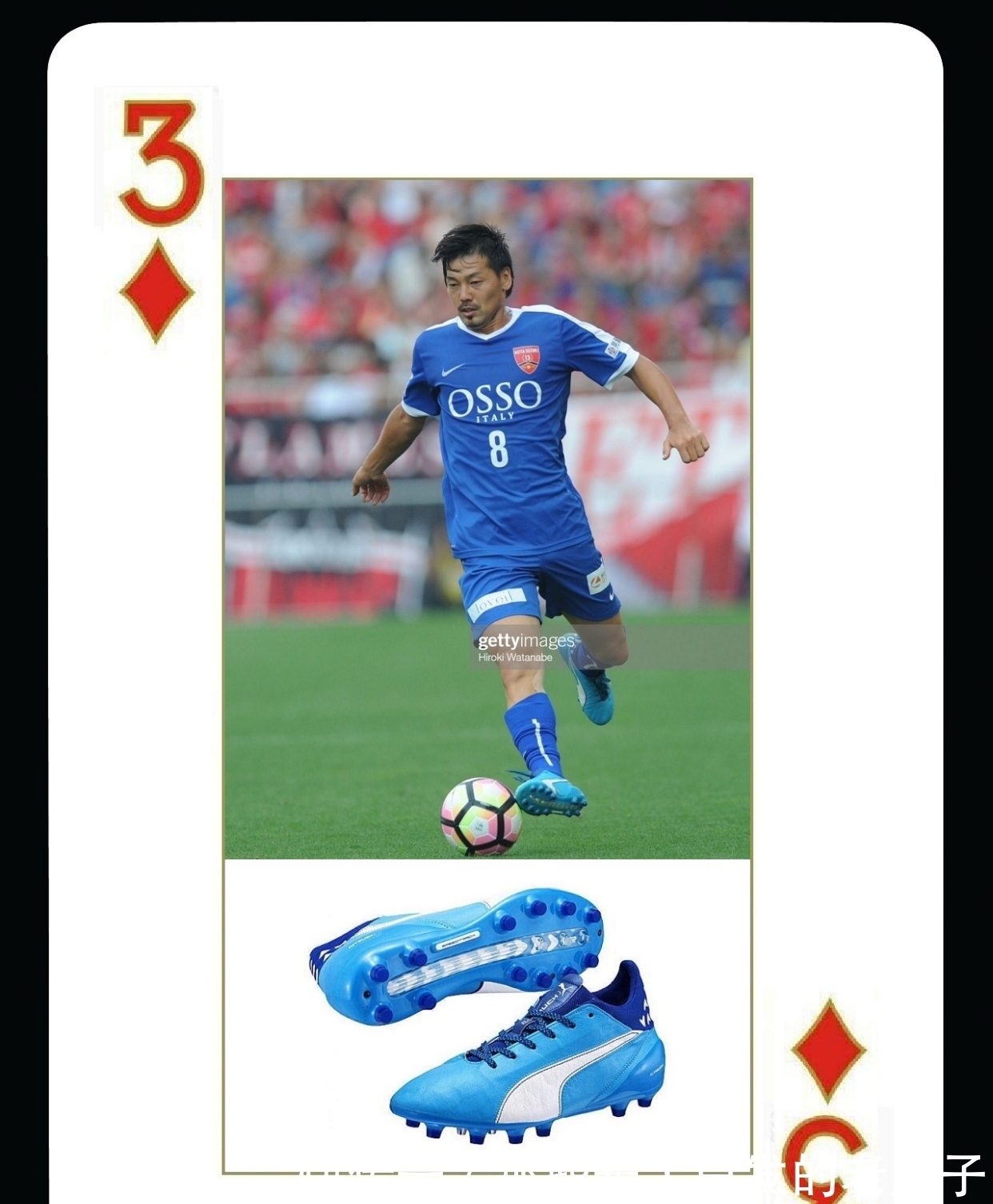 50吨植物油精炼设备