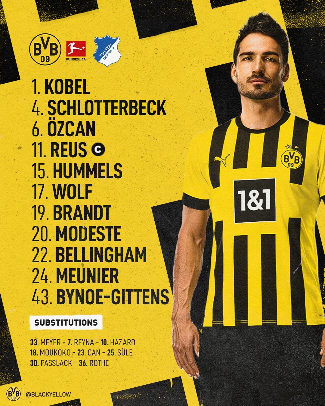 1吨-10吨茶籽油生产线