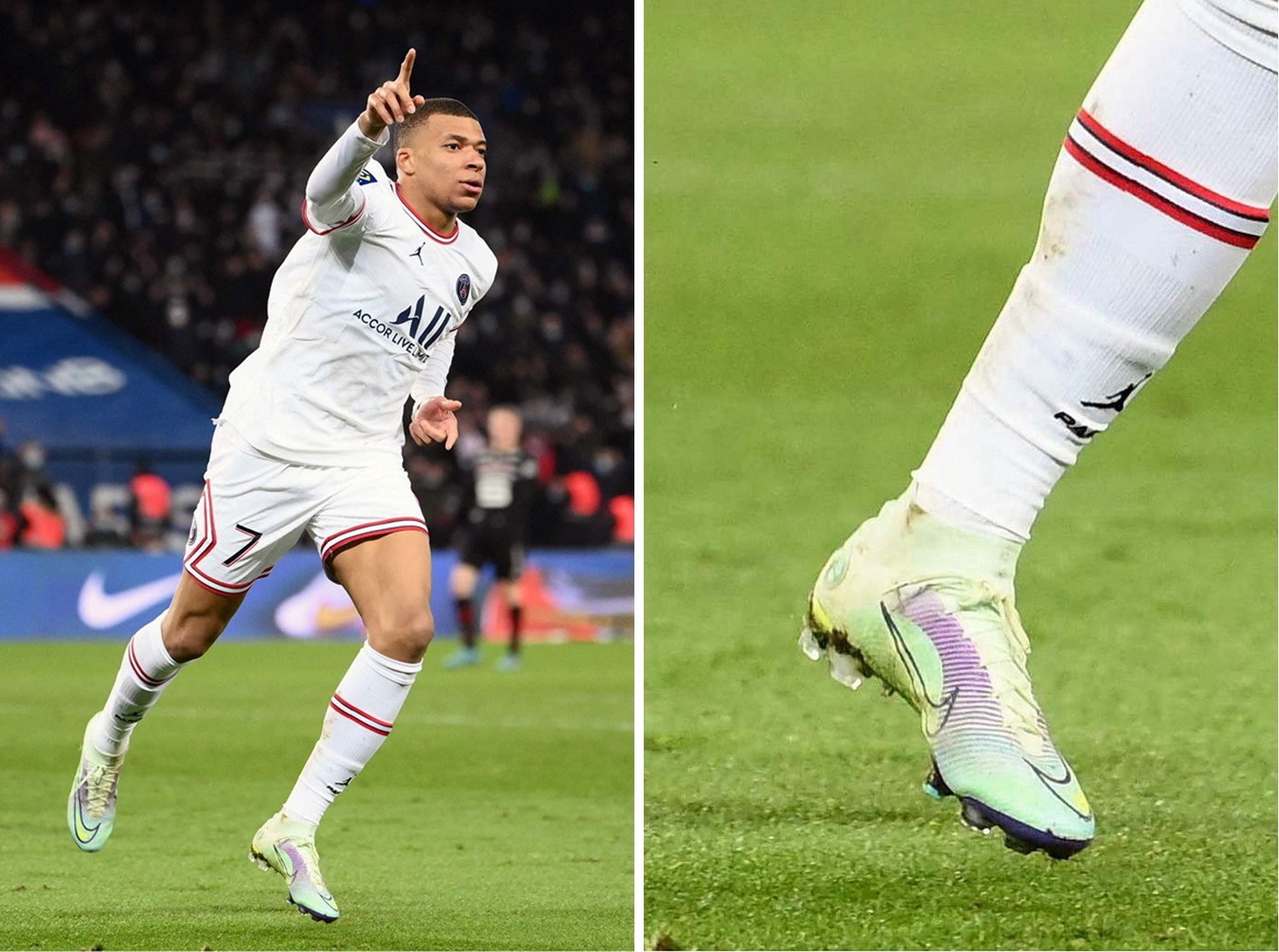 动物油熬炼设备